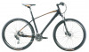 Oyama Cross
