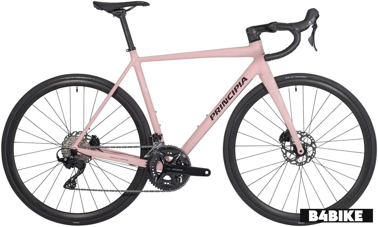 Principia Evolve XO Rose