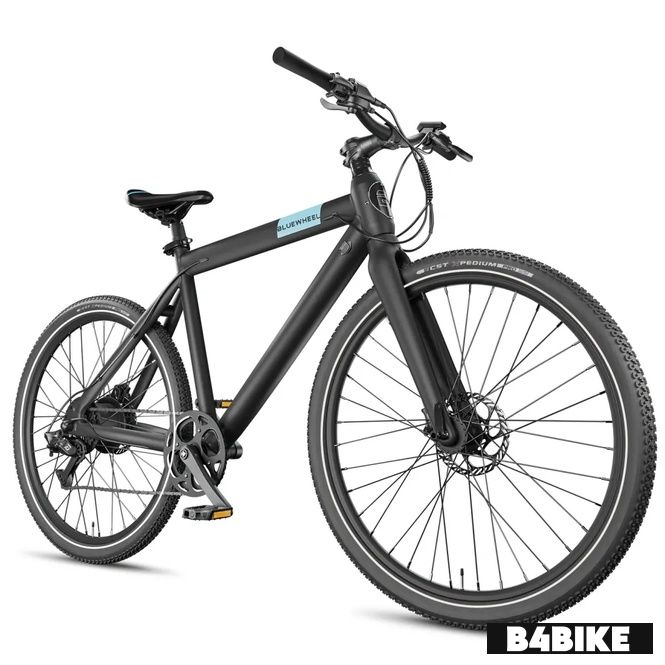 RKS Bluewheel Buteo