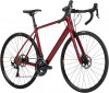 Salsa Warroad