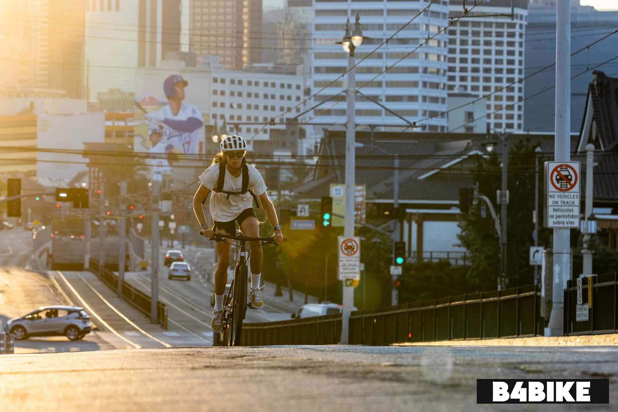 Santa Cruz Skitch Apex