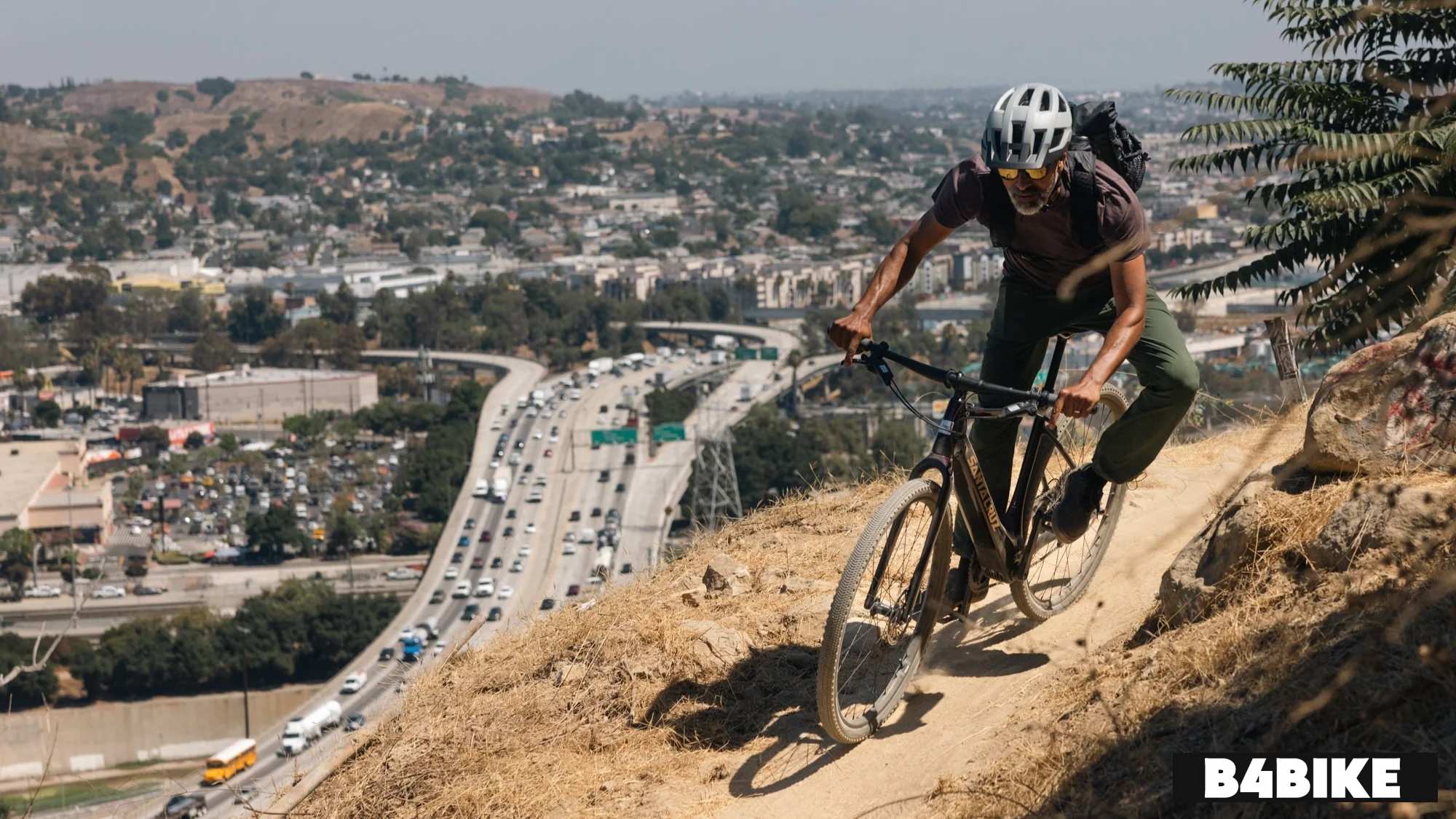 Santa Cruz Skitch Apex